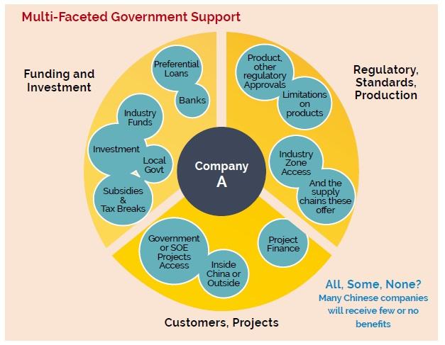 Multi-faceted government support
